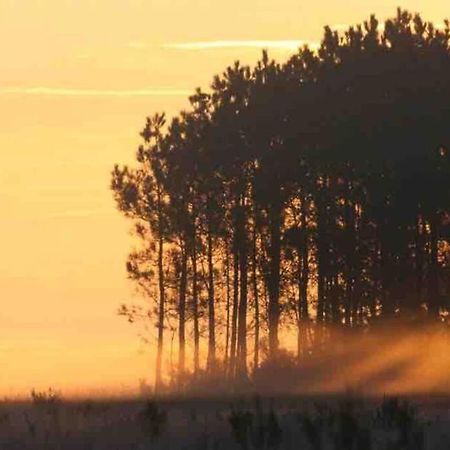 Chez Floflo Βίλα Rion-Des-Landes Εξωτερικό φωτογραφία