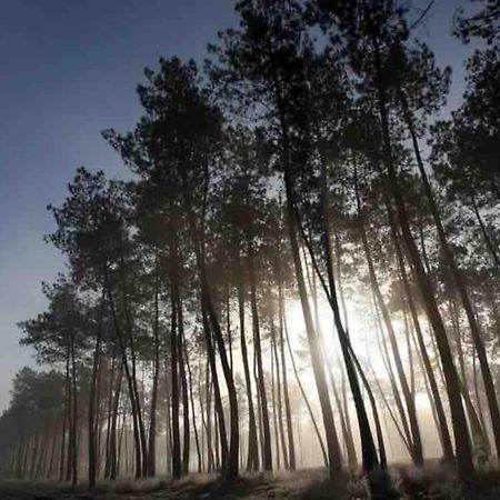 Chez Floflo Βίλα Rion-Des-Landes Εξωτερικό φωτογραφία