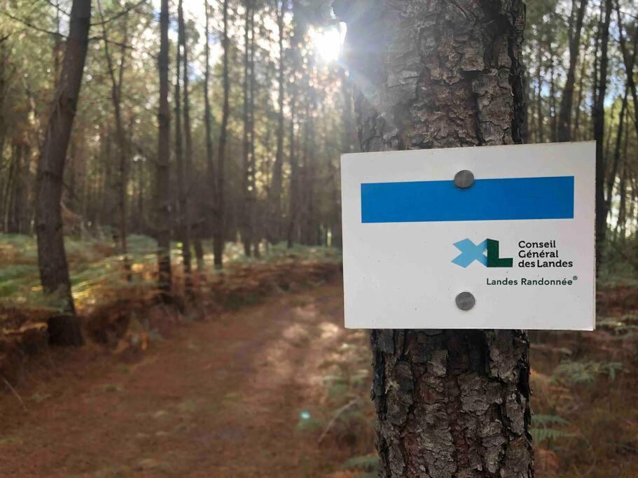 Chez Floflo Βίλα Rion-Des-Landes Εξωτερικό φωτογραφία