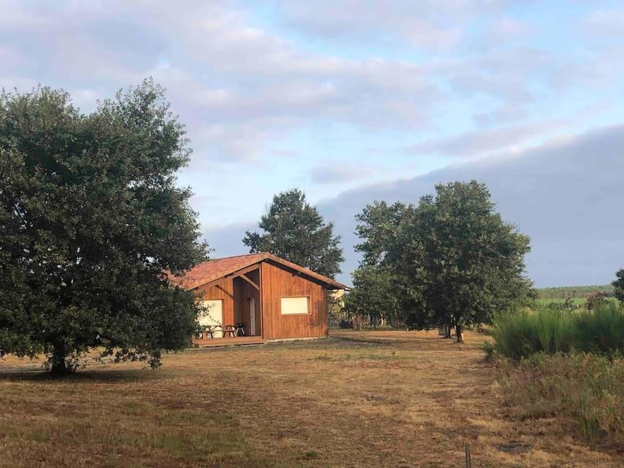 Chez Floflo Βίλα Rion-Des-Landes Εξωτερικό φωτογραφία